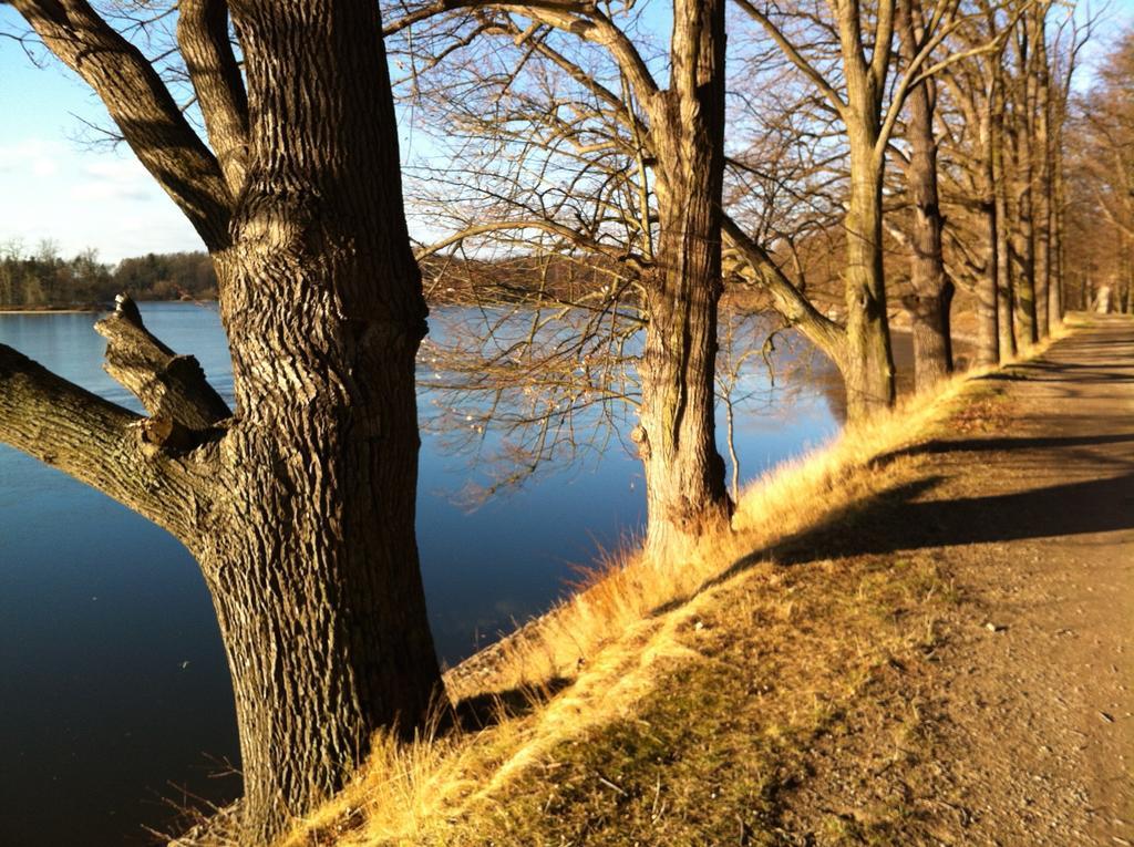 Apartman Sportovni Appartement Třeboň Buitenkant foto