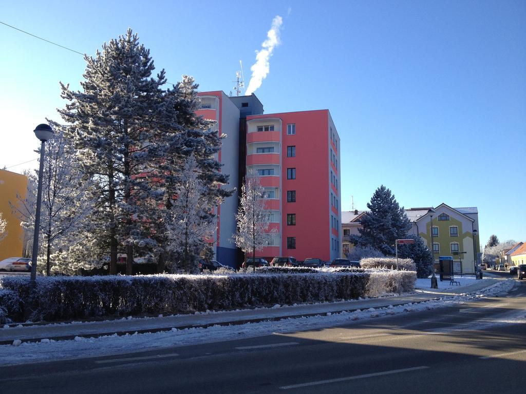 Apartman Sportovni Appartement Třeboň Buitenkant foto